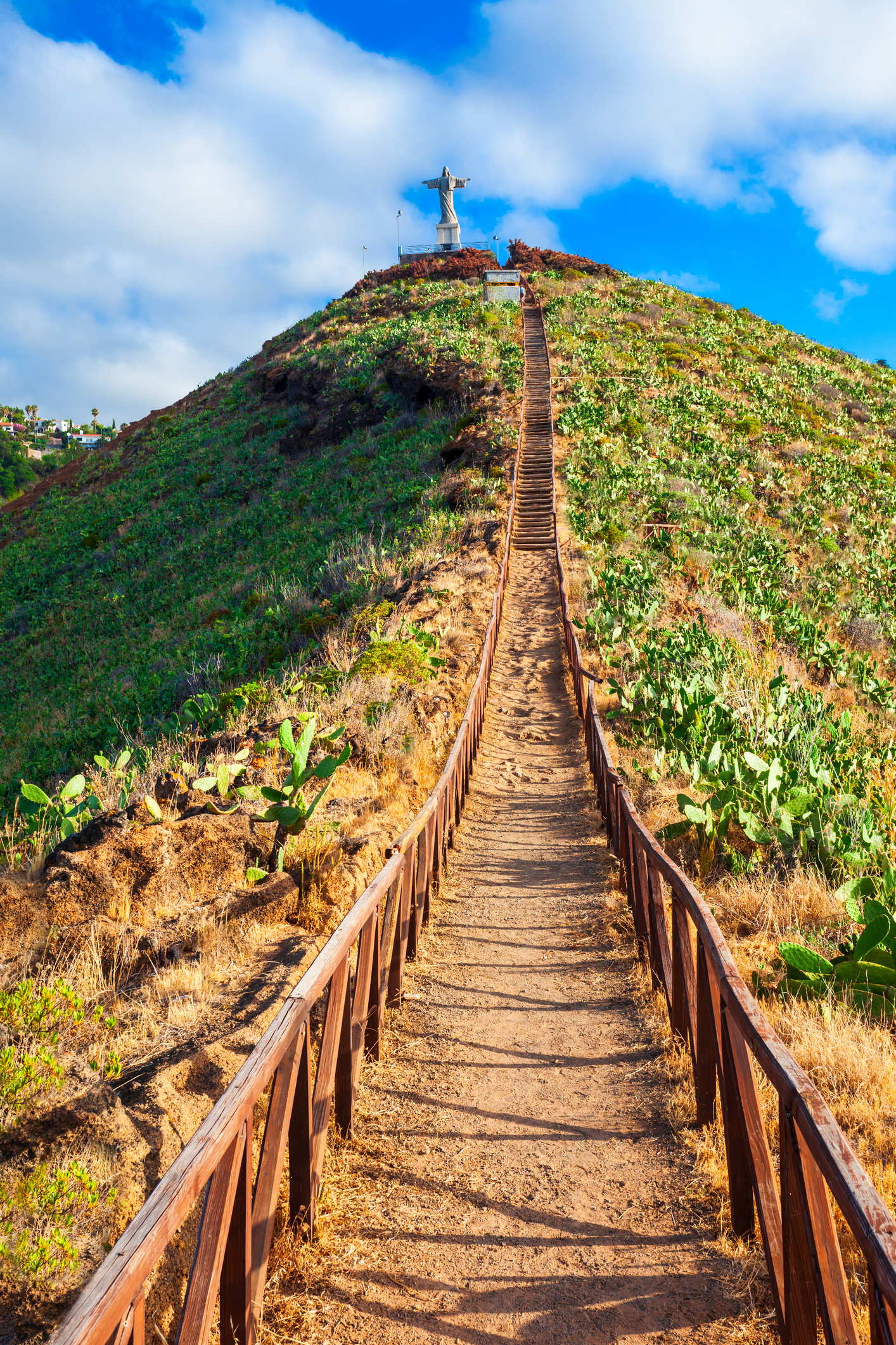 Lush green mountain valleys and levada paths on Madeira island — inland scenery on the Grand Experience full-island tuk tuk tour
