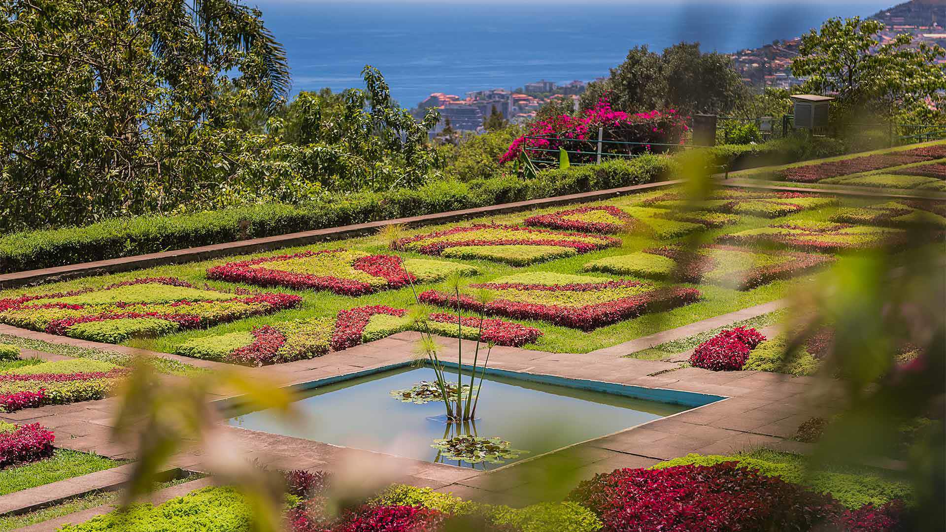 Jardim Botânico da Madeira — terraced garden paths with exotic plant collections and panoramic views over Funchal bay, Madeira, PT-31