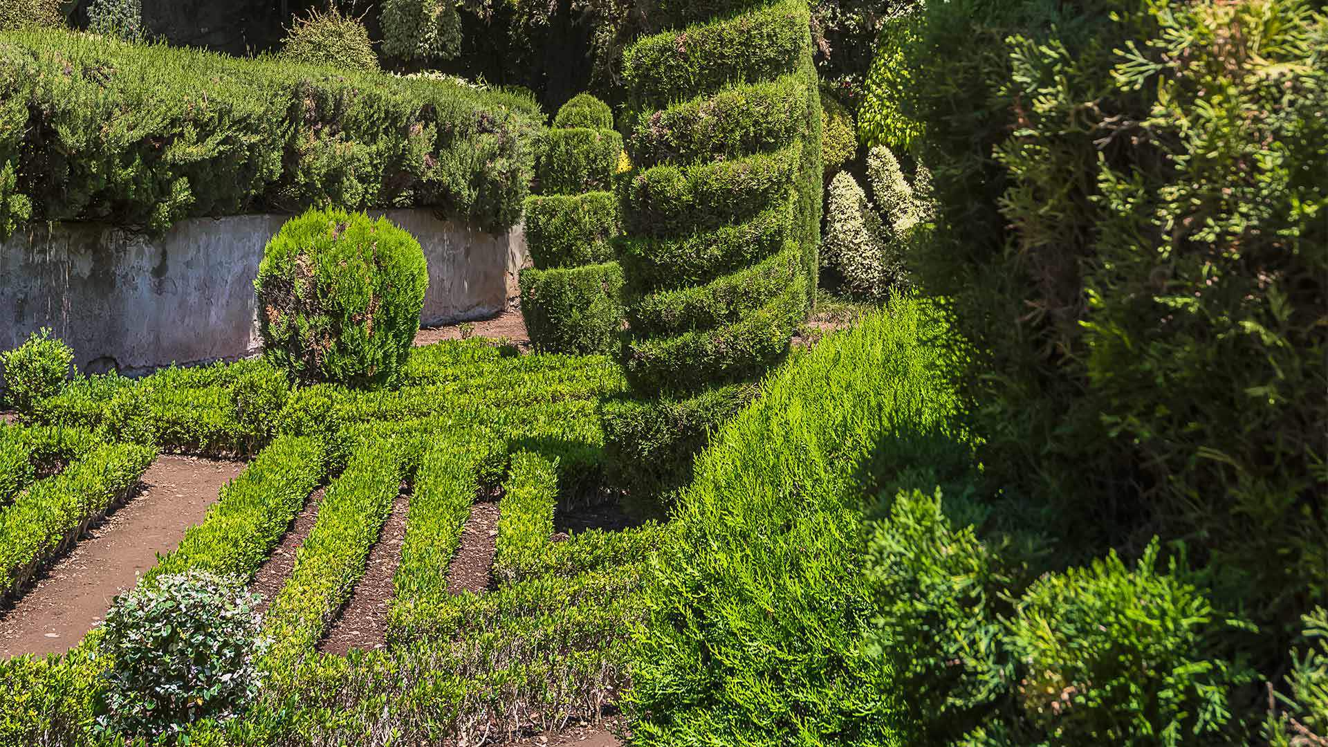 Madeira Botanical Garden upper terraces with sweeping views over Funchal city and the Atlantic Ocean, PT-31