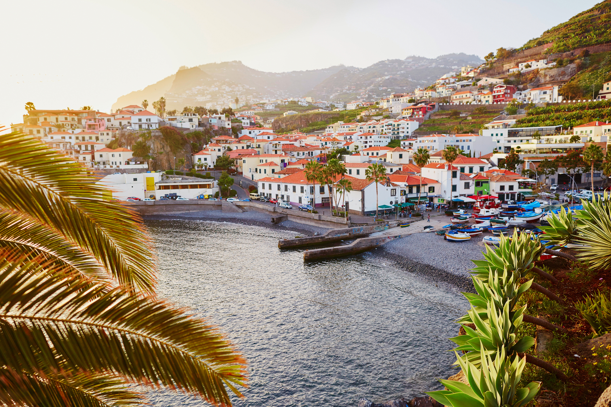 Câmara de Lobos fishing village aerial view, Madeira — tuk tuk tour